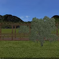 Wooden Pergola With Vines Covered Roof In Green Grass Field And Surrounding Trees