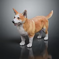 Adorable Brown And White Corgi Standing On Black Surface With Reflection 3d model