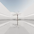 Modern Minimalist Courtyard Landscape With Bare Tree And Reflective Water Surrounded By Clean White Walls