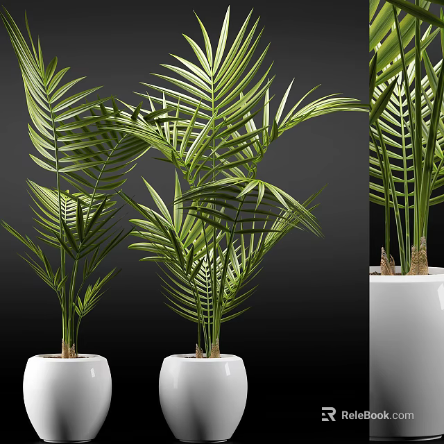 Green Leafy Potted Plants In White Ceramic Pots With Fresh Palm Fronds 3d model 