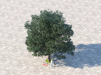 Lush Green Arbor In Paved Urban Square With Person And Warning Sign 3d model