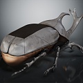 Modern Beetle Beetle 3d model