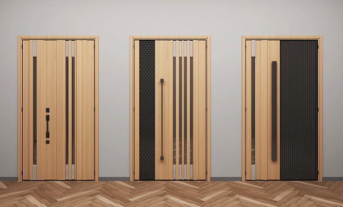 Modern swing door entry door 3d model