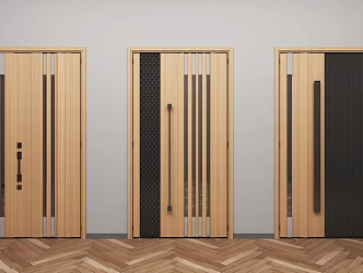 Modern swing door entry door 3d model