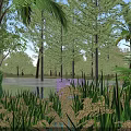 Beautiful Tropical Garden Scenery With Calm Water Tall Trees And Lush Green Aquatic Plants