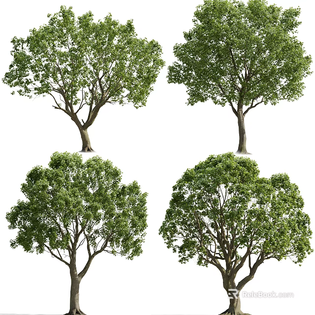 Arbor With Lush Green Foliage And Natural Trunk In Various Forms 3d model 