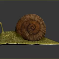 Detailed Brown Spiral Shell Snail Sculpture with Yellow Textured Body and Reflection