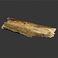 Natural Plant Wood Log With Smooth Texture And Brown Tones On Black Surface