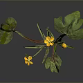 Green Leaf Plant With Yellow Small Flowers And Red Green Stems On Gray Background