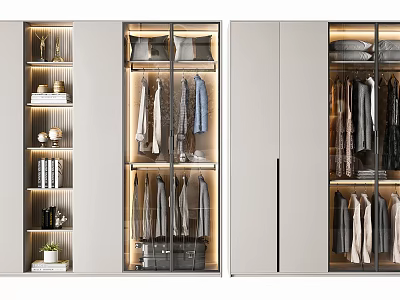 Modern Wardrobe Interior With Glass Doors Built In Lighting And Layered Storage Sections 3d model