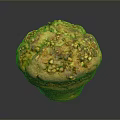 Golden Crusty Top Muffin With Nutty Granola Topping And Fluffy Texture