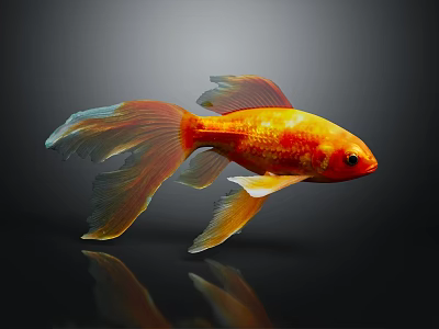 Modern Fish Koi Tropical Fish Ornamental Fish Aquarium Coral Fish 3d model