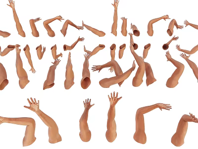 Modern Multiplayer Gesture Arm Combination Men's Arm Palm Palm Finger Combination Men's Arm Palm 3d model