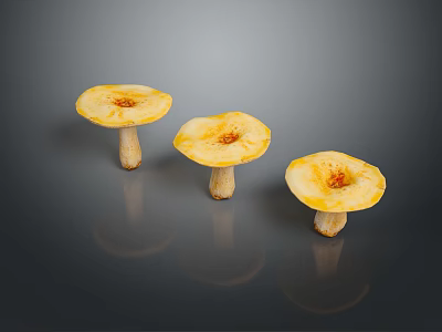 Three Yellow Mushrooms With Round Caps And White Stems On Dark Surface 3d model