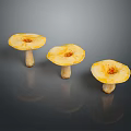 Three Yellow Mushrooms With Round Caps And White Stems On Dark Surface