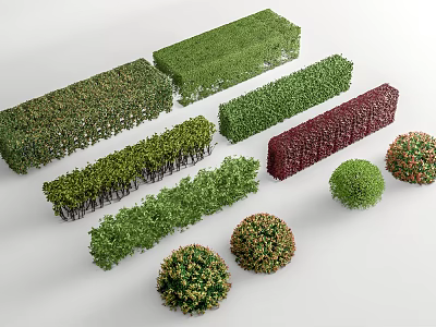 Various Green Red Shrubs In Different Shapes Hedges And Round Balls For Garden Landscaping 3d model