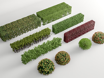 modern shrub hedge square shrub square tree green belt plant combination shrub ball 3d model