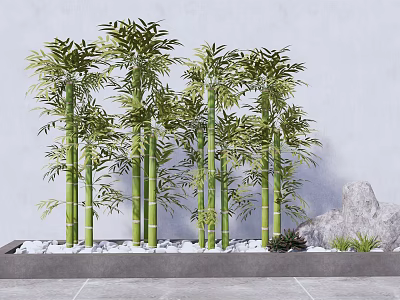 Tall Green Bamboo Plants With Lush Leaves In Decorative Arrangement With White Pebbles 3d model