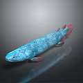 Realistic Aquatic Animal With Blue Green Body Red Fins Scales And Long Body