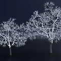 Three Snow Covered Arbor Trees Against Dark Background In Winter Scene 3d model