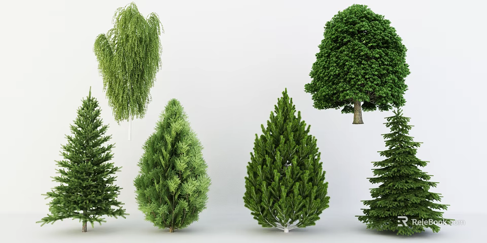 Different Types of Green Arbor Trees with Various Foliage and Shapes 3d model 