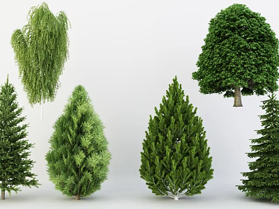 Different Types of Green Arbor Trees with Various Foliage and Shapes 3d model