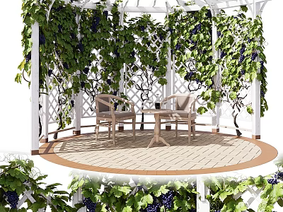 Green Plants Covered Pergola With Grape Vines Wooden Chairs And Table 3d model