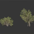 Natural Green Bushes And Small Trees On White Background With Various Sizes And Shapes