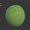 Fresh Ripe Cantaloupe With Vibrant Green Netted Skin On Dark Surface