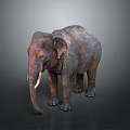 Realistic Detailed Elephant Figure With Textured Skin Standing On Dark Background