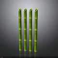 Five Tall Green Bamboo Stems With Shiny Surface Against Dark Background