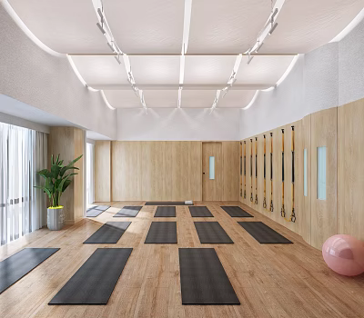 Spacious Yoga Studio With Wooden Floor Yoga Mats Fitness Ropes Green Plant And Exercise Ball 3d model