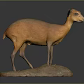 Stuffed Orange Antelope Taxidermy Display on Rock Base with Dark Background
