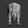 Gray Rhinoceros 3D Model in Standing Pose With Smooth Texture and Reflective Surface 3d model