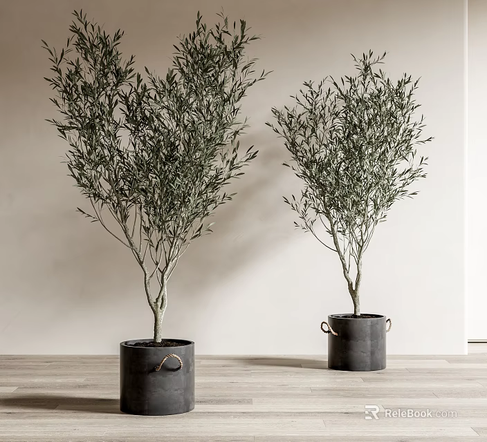 Minimalist Bonsai Potted Olive Trees in Black Bucket Planters for Modern Home Decor 3d model 