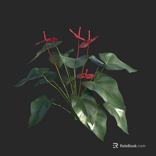 Vibrant Red Anthurium Flowers With Unique Shape And Broad Green Leaves In Vase 3d model 