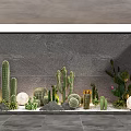Modern Indoor Cactus Bonsai Potted Plants With Various Types Decorative Stones And White Spherical Ornaments