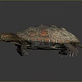 Vibrant Patterned Turtle With Brown Orange Shell And Textured Scaly Legs