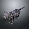 Gray Tabby Cat With Green Eyes Standing On Dark Background With Reflection 3d model