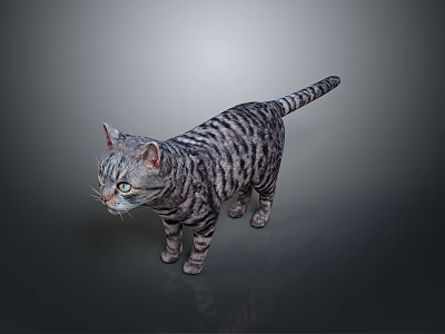 Gray Tabby Cat With Green Eyes Standing On Dark Background With Reflection 3d model