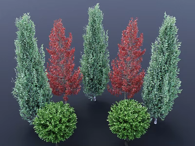 Shrubs Featuring Green And Red Foliage Conical And Round Shapes In Garden 3d model