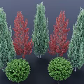 Shrubs Featuring Green And Red Foliage Conical And Round Shapes In Garden