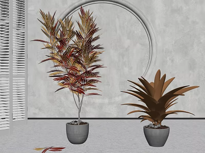 Potted Plants With Red Yellow Brown Leaves In Gray Pots Circular Decor And Louvered Window 3d model
