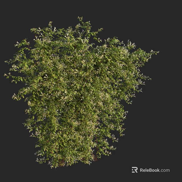 Lush Green Shrub with Dense Foliage and White Flowers for Garden Landscaping 3d model 
