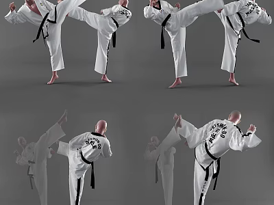 Taekwondo Game and Movie Character in White Uniform with Black Belt and Multiple Poses 3d model