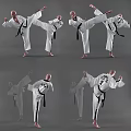 Taekwondo Game and Movie Character in White Uniform with Black Belt and Multiple Poses