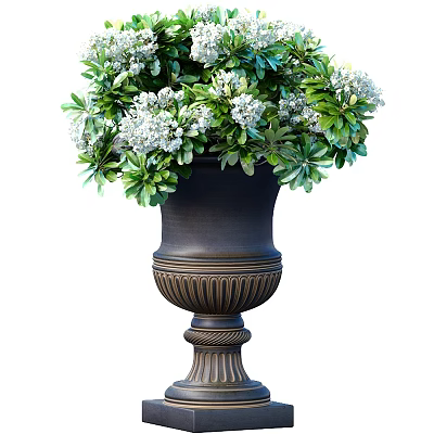 Elegant Classic Dark Vase With Carved Design And Lush Green Leaves White Flowers 3d model