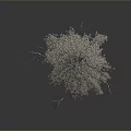 Birch Tree With White Trunk Green Leaves And Exposed Roots On Gray Background