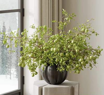 Lush Green Bonsai Plant With Small Fruits In Black Pot Against Snowy Window Curtains 3d model
