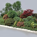 Diverse Shrubs With Colorful Foliage For Garden Landscape Design And Outdoor Decor
